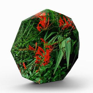 Red Crocosmia Floral Design Acrylic Award