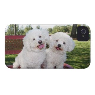 Put Your Own Photo On The iPhone 4/4S Case