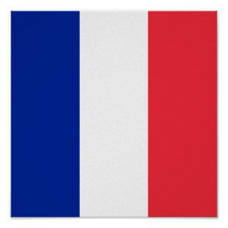 France Flag Print