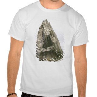 Imperial Shags Nesting on Rocky Pyramid of Shag Ro Shirts
