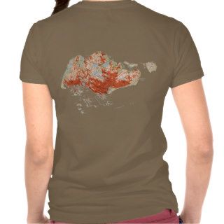 Singapore Flag and Map dk T Shirt T Shirts