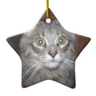 Big Eyed Tiki the Cat Christmas Ornament