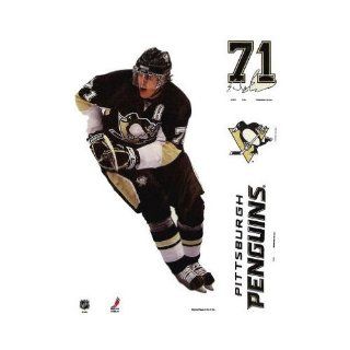 Pittsburgh Penguins Official NHL 11"x17" Car Window Cling Decal by Wincraft  Sports Fan Automotive Decals  Sports & Outdoors