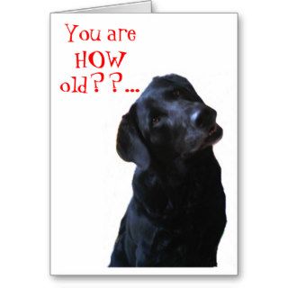 Black Lab Dog Tipping Head Wishing Happy Birthday Greeting Card