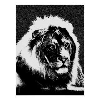 Male Lion Portrait  Black & White Illustration Posters