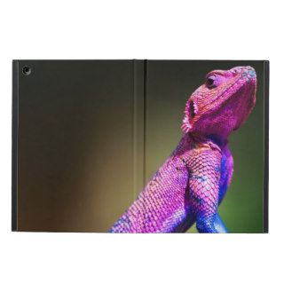 The Mwanza Flat headed Agama on rock Cover For iPad Air