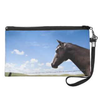 Horse standing at fence in pasture wristlets