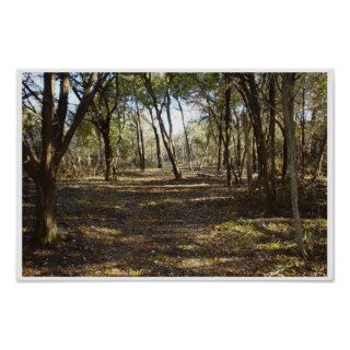 Texas Forest Print