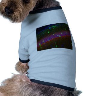 Interneuron 3 dog t shirt