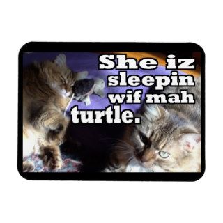 Funny Cat Picture Magnet Gift