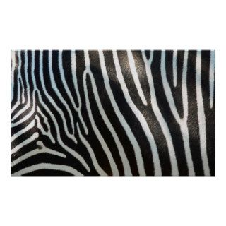 Zebra Stripes Print