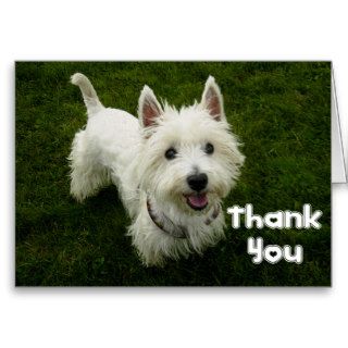 Thank You West Highland Terrier Puppy Dog Card