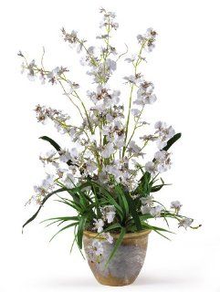 Nearly Natural 1005 WH Dancing Lady Silk Orchid Arrangement White   Artificial Plants