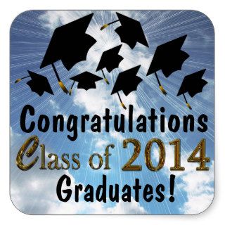 Fun 2014 Congratulations Graduations Caps Stickers