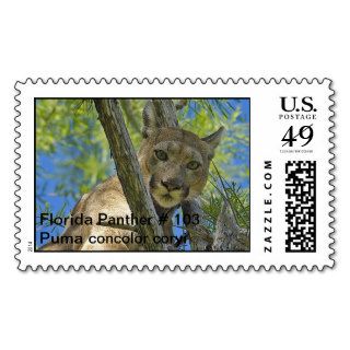 Florida Panther # 103 Postage Stamps
