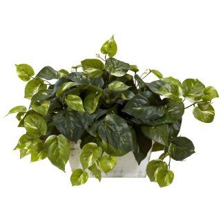 Nearly Natural 6713 Pothos with White Wash Planter Decorative Silk Plant, Green   Artificial Plants