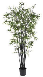 Nearly Natural 5277 Black Bamboo Silk Tree, 6.5 Feet, Green   Artificial Trees