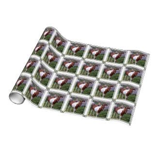 horse 44 gift wrapping paper