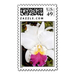 White & Purple Cattleya Orchid Stamps