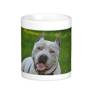 pit bull sharky dog mug good  morning pitbull