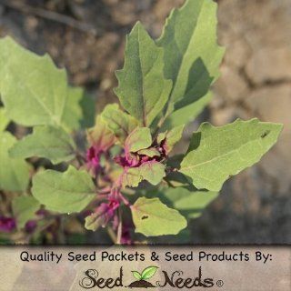 200 Seeds, Epazote Herb (Chenopodium ambrosioides) Seeds by Seed Needs  Herb Plants  Patio, Lawn & Garden