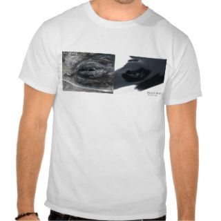 Whale Eyes Tshirts
