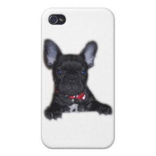 French Bulldog Puppy iPhone 4 Case