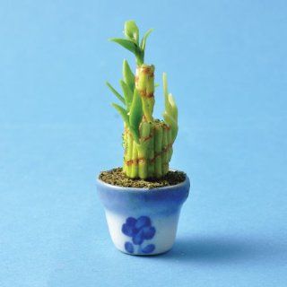 Dollhouse Miniature Lucky Bamboo Plant Toys & Games