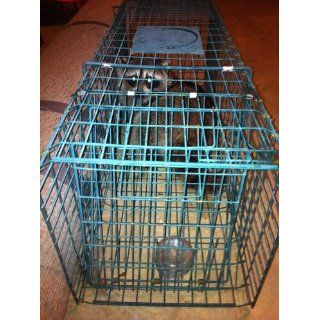 Pet Trex Green Live Animal or Pet Trap Humane Catch & Release Trap  Rodent Traps  Patio, Lawn & Garden