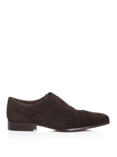 Suede brogues  Tod's