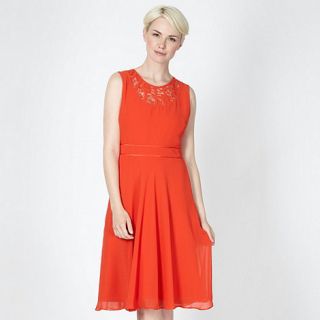 The Collection Petite Petite orange lace neck dress