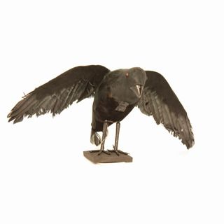 Halloween Feather Black Raven With Light Up Eyes Good Tidings Seasonal Decor