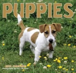 Puppies 2010 Calendar General
