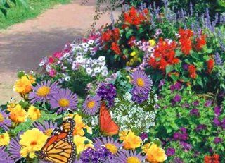 Garden Butterfly Mat   Instant Garden, Roll N Grow   Seeded Mat   Just Roll and Grow Instant Flower Garden   (Easy & Hassle Free)   Grow Flowers Quickly & Easily  Plant Seed And Flower Products  Patio, Lawn & Garden