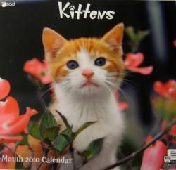 Kittens 2010 Calendar General