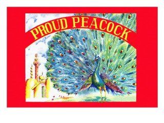 Proud Peacock Wall Decal 24 x 18 in   Wall Decor Stickers  