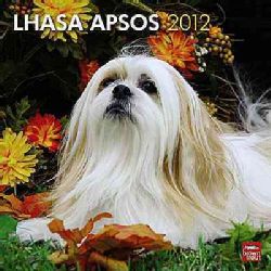 Lhasa Apsos 2012 Calendar (Calendar) Dogs