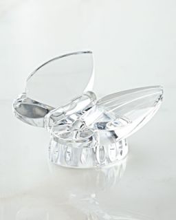 Butterfly Collectible Sculpture   Waterford Crystal   Clear