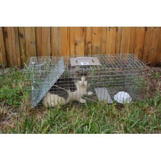 Havahart 1089 Collapsible One Door Live Animal Cage Trap for Raccoon, Stray Cat, Groundhog, Opossum, and Armadillos  Rodent Traps  Patio, Lawn & Garden
