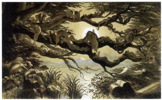 CANVAS Fairyland Asleep in the Moonlight 1870 by Richard Doyle Fairy Fairies Folklore Magical Legendary Creature 14" X 22" Image Size Reproduction on CANVAS. Several more sizes available   Prints