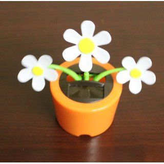 Solar Powered Dancing Daisy Flower   Package of Three (3) Flowers   Solar Flower Pot