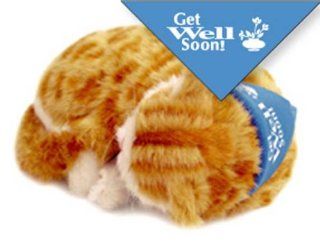 Perfect Petzzz Special Occasion Bandana Get Well Soon   Blue Sports & Outdoors