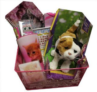 Ultimate Cat Lover Gift Basket   Perfect for Birthdays, Christmas, Get Well Soon, or Other Occassions Toys & Games