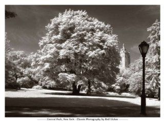 Kunstdruck Poster Ralf Uicker "Central Park, New York" 116 x 86 Küche & Haushalt