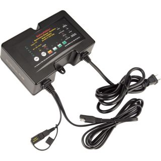 BatteryMINDer 5-Stage User-Selectable Charger/Maintainer/Desulfator System — 24-Volt, 1/2/4 Amp, Model# 244CEC1  Battery Maintainers