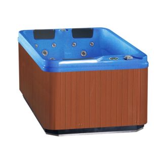 Aston Blue 3 person 32 jet Dual Insulated Hot Tub  