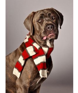 Chilly Dog White and Red Dog Scarf   Clothes