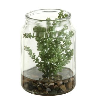 Silks Succulents in Candle Jar