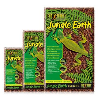 Exo Terra Terrarium Plant   Jungle Earth