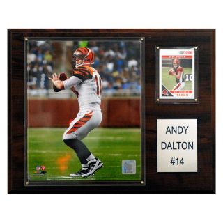 NFL 12 x 15 in. Andy Dalton Cincinnati Bengals Player Plaque   Wall Art & Photography